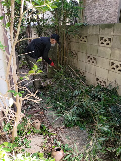 地面から生えている庭木を伐採するスタッフ